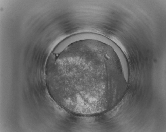 X0000088400996200706191353