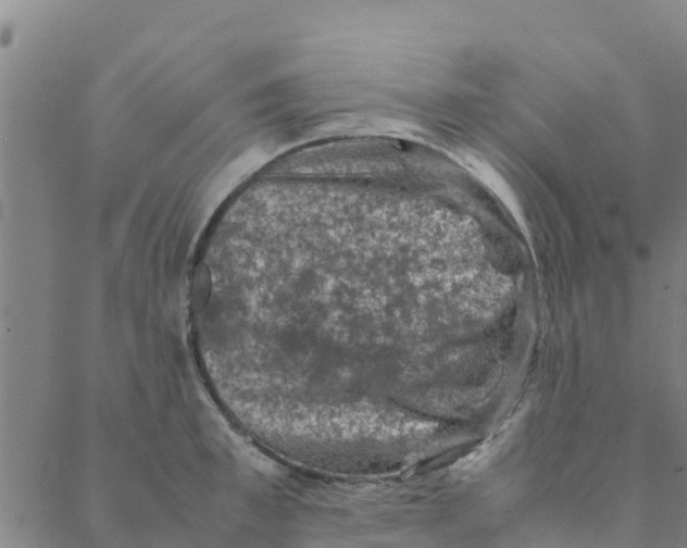 X0000088400997200706191353