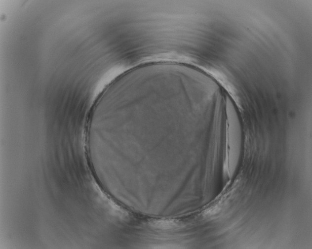 X0000088400998200706191353