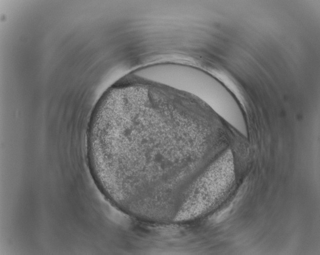 X0000088400999200706191353