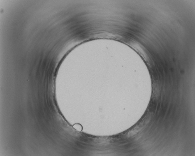 X0000088401000200706191353