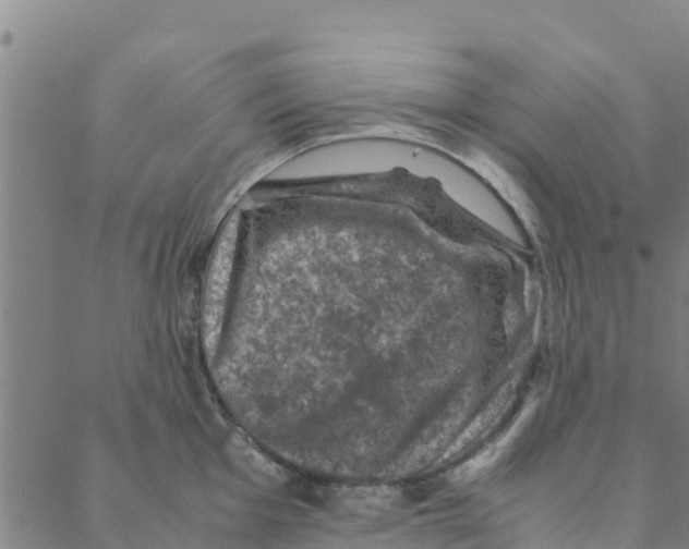 X0000088401001200706191353