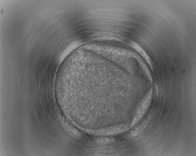 X0000088401002200706191353