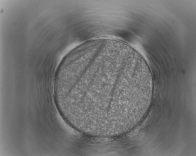 X0000088401003200706191353