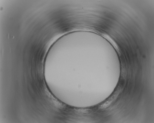 X0000088401004200706191353