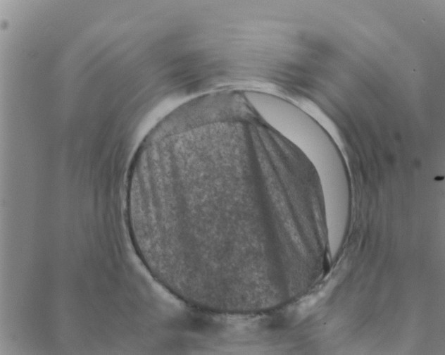 X0000088401005200706191353