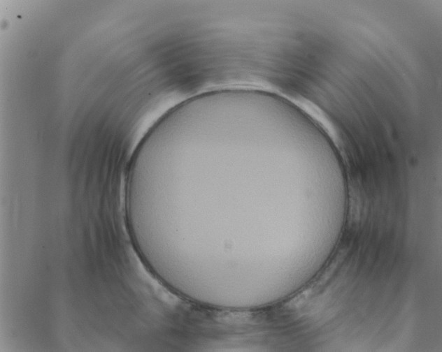 X0000088401006200706191353