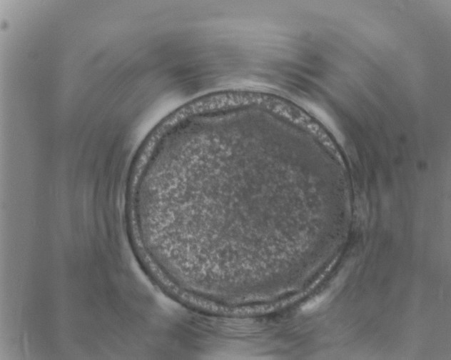 X0000088401007200706191353