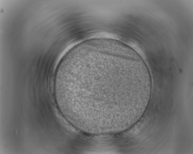 X0000088401008200706191353