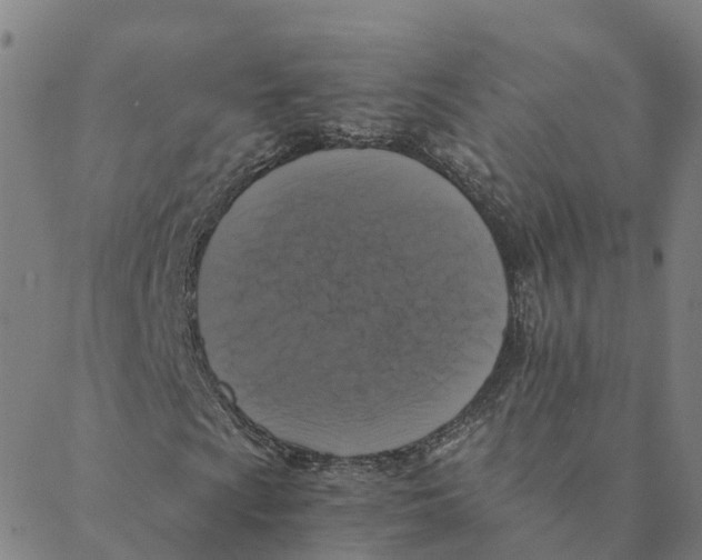 X0000088401009200706191352