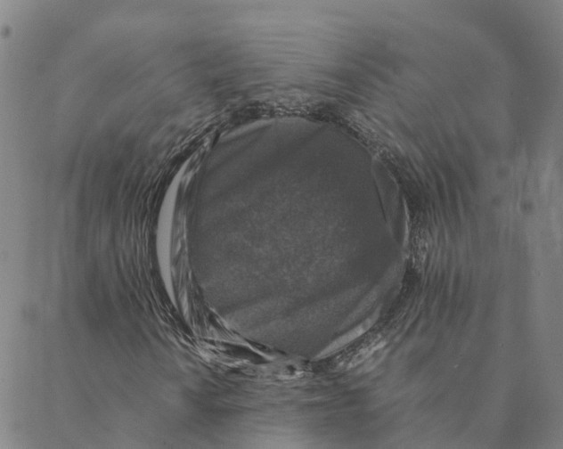 X0000088401010200706191352