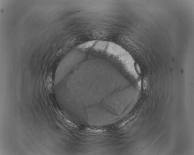 X0000088401011200706191352