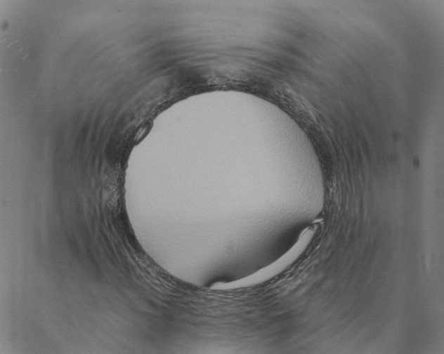 X0000088401012200706191352