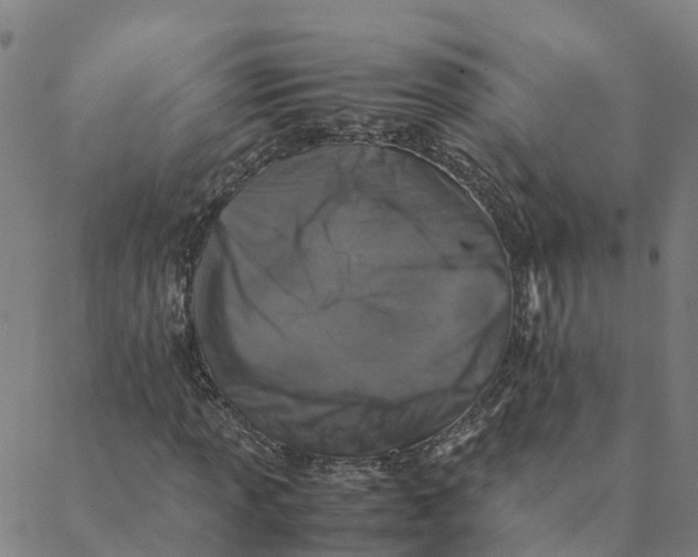 X0000088401013200706191352