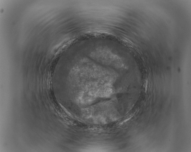 X0000088401014200706191352