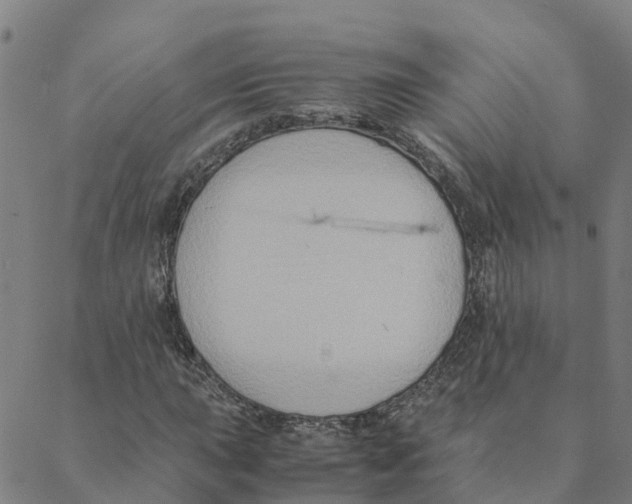 X0000088401015200706191352