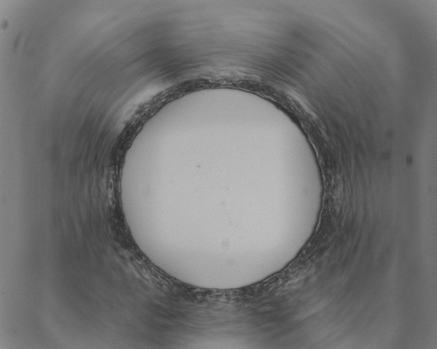 X0000088401016200706191352