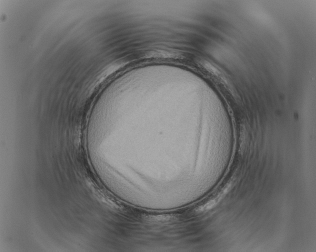 X0000088401017200706191352