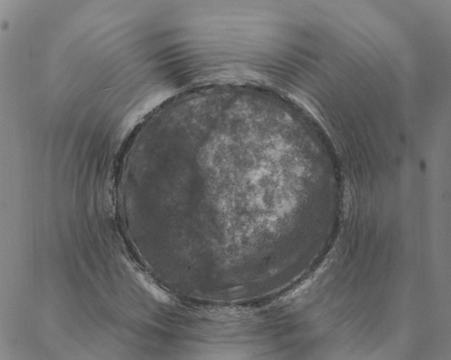 X0000088401018200706191352