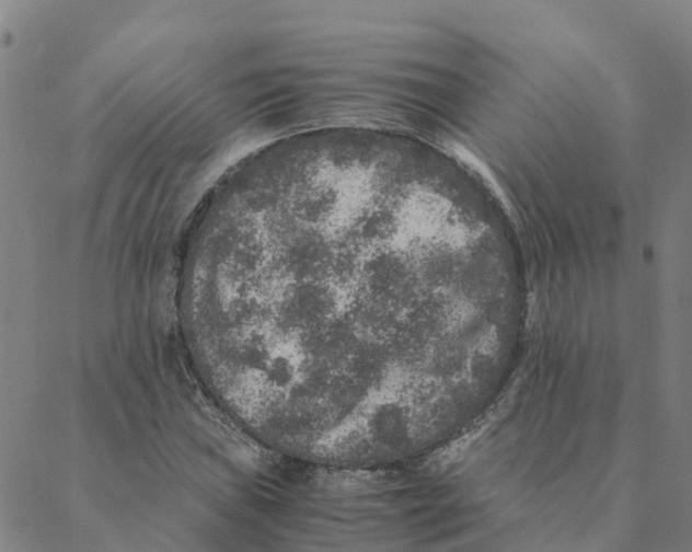 X0000088401019200706191352