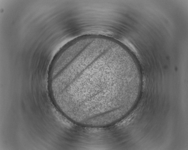 X0000088401020200706191352