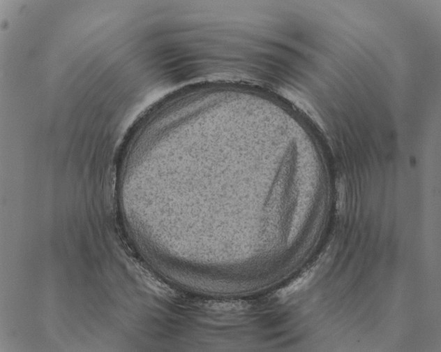 X0000088401021200706191352