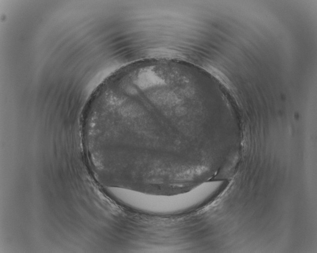 X0000088401022200706191352