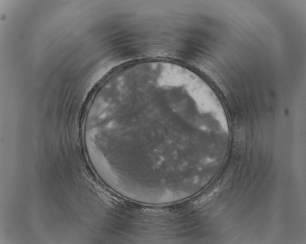 X0000088401023200706191352