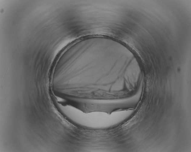 X0000088401024200706191352