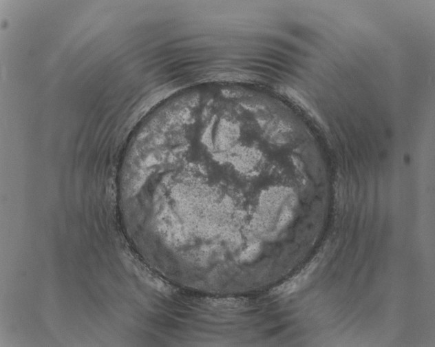 X0000088401025200706191352