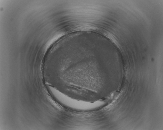 X0000088401026200706191352