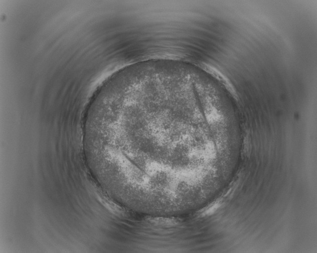 X0000088401027200706191352