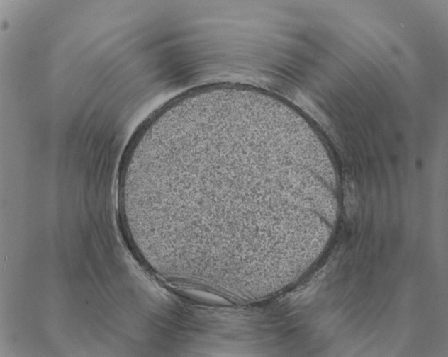 X0000088401028200706191352