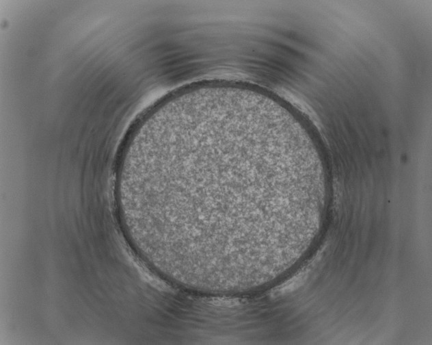 X0000088401029200706191352