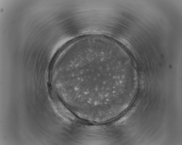 X0000088401030200706191352