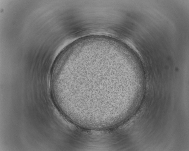 X0000088401032200706191352