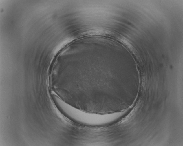 X0000088401034200706191352