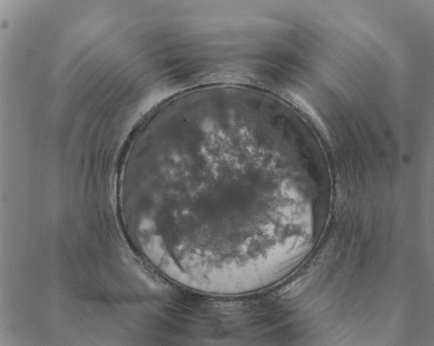 X0000088401035200706191352