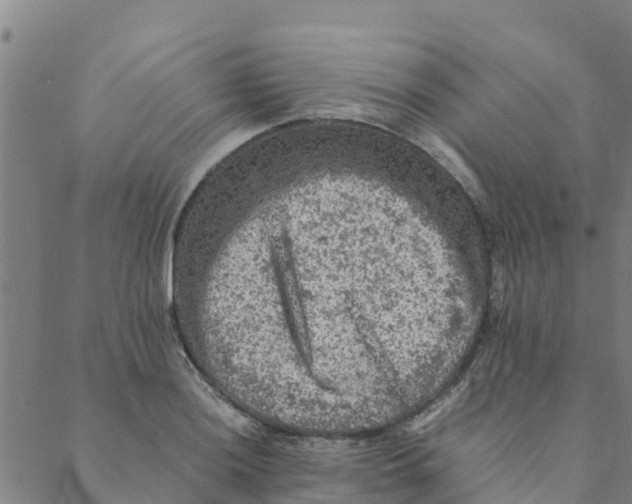 X0000088401036200706191352