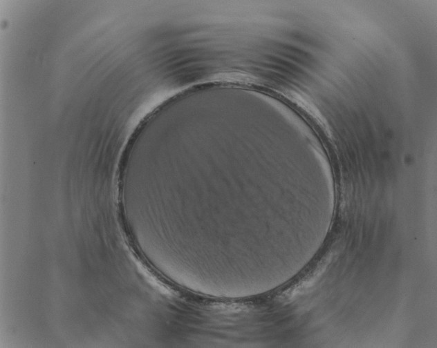 X0000088401037200706191352