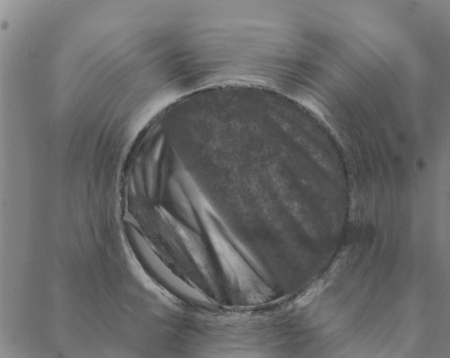 X0000088401038200706191352