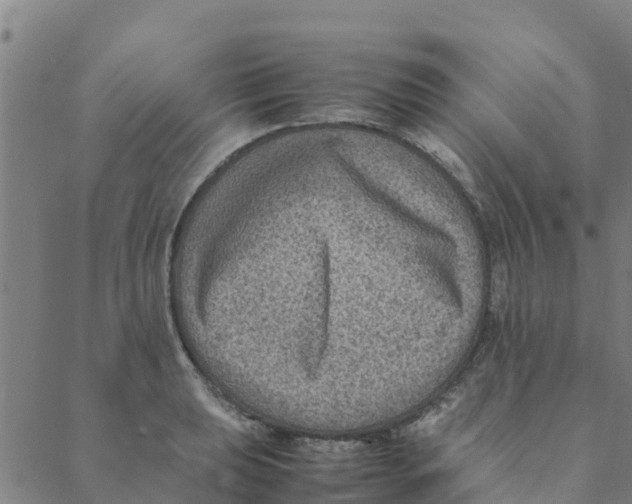 X0000088401039200706191352