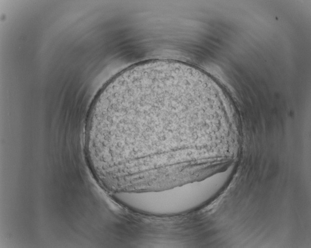 X0000088401040200706191352