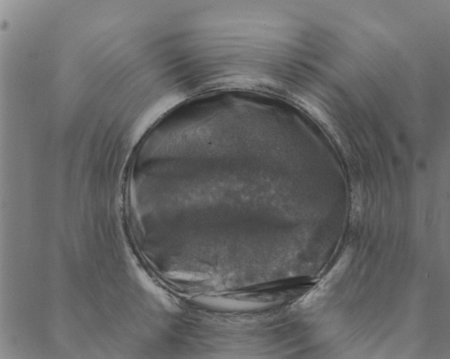 X0000088401042200706191352