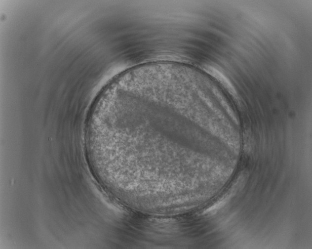 X0000088401043200706191352