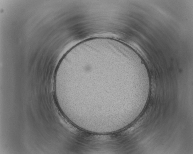 X0000088401044200706191352