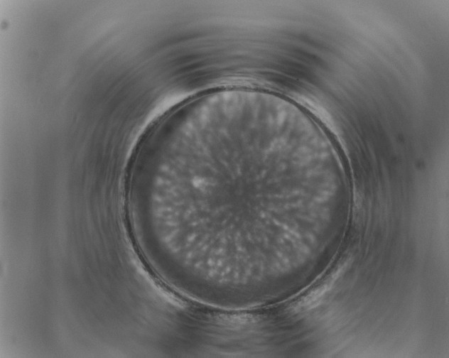 X0000088401045200706191352