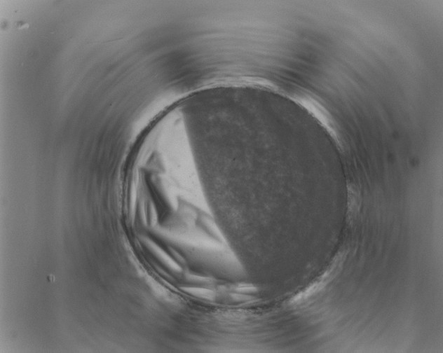 X0000088401046200706191352