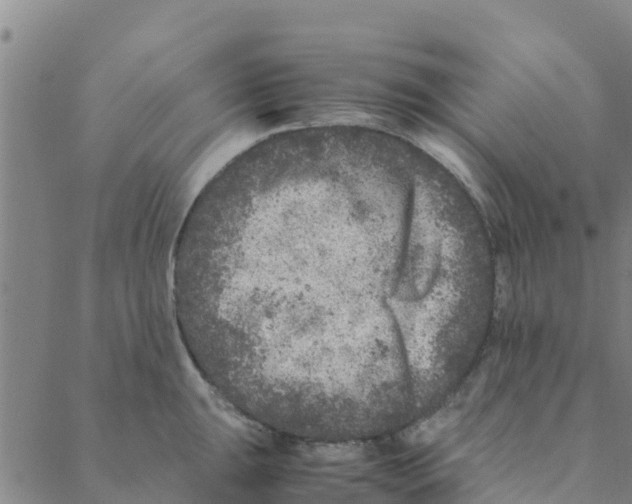 X0000088401047200706191353