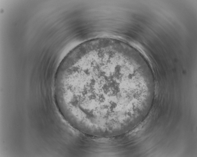 X0000088401048200706191353